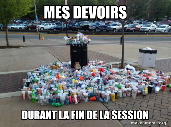 Canadian Football Fans meme meme