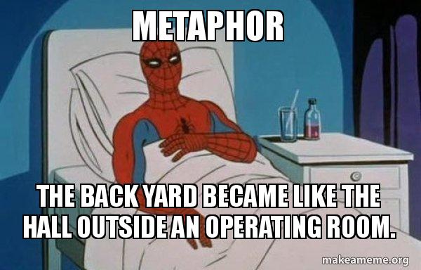 Metaphor The back yard became like the hall outside an operating room ...