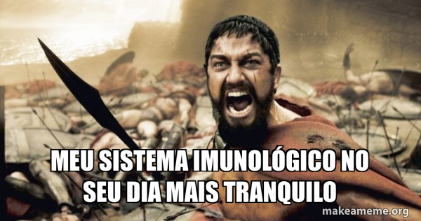 The 300 meme