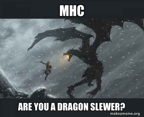 Skyrim Dragon Slaying meme