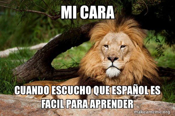 Contemplative Lion meme