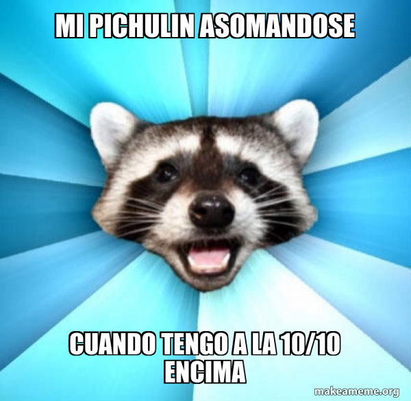 Lame Pun Coon meme