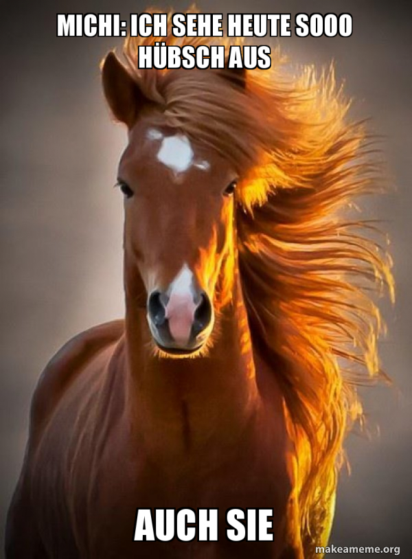 Ridiculously photogenic horse meme