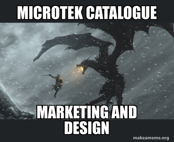 Skyrim Dragon Slaying meme