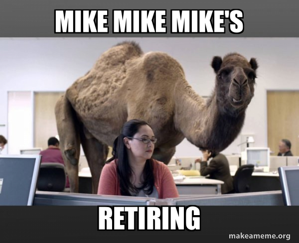 Hump Day Camel meme