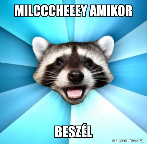 Lame Pun Coon meme