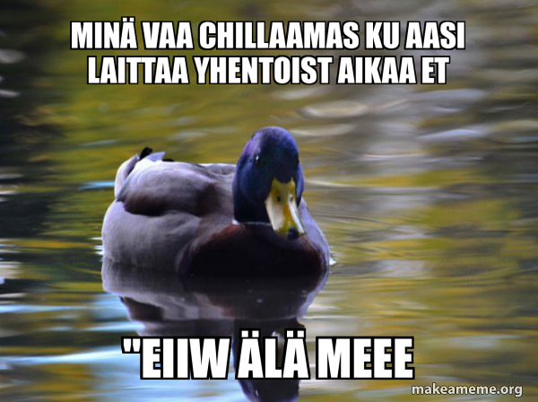 Zen Advice Mallard meme