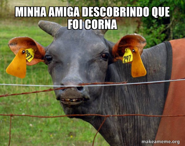 Hairless Cow meme