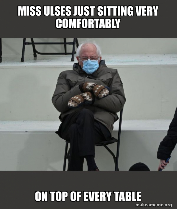 Bernie Sanders at the Inauguration meme