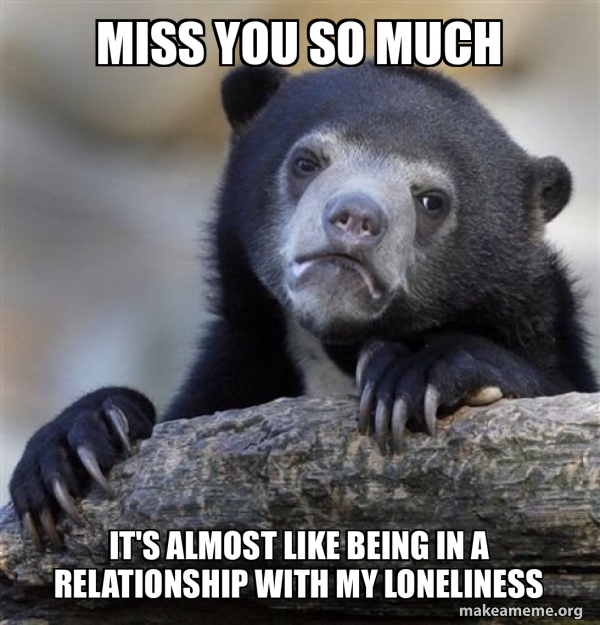 Confession Bear meme