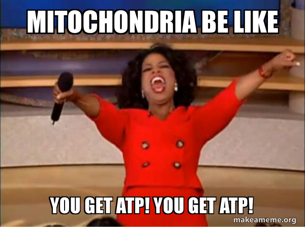mitochondria be like you get atp! you get ATP! - Oprah Winfrey - You ...