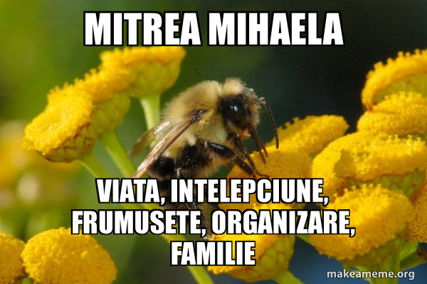 Good Guy Bee meme