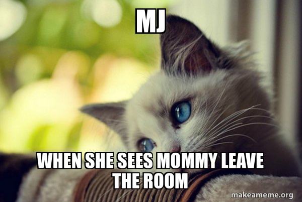 First World Cat Problems meme