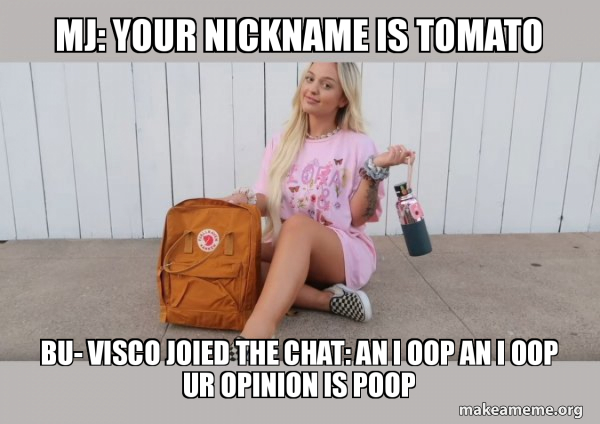 VSCO Girl meme
