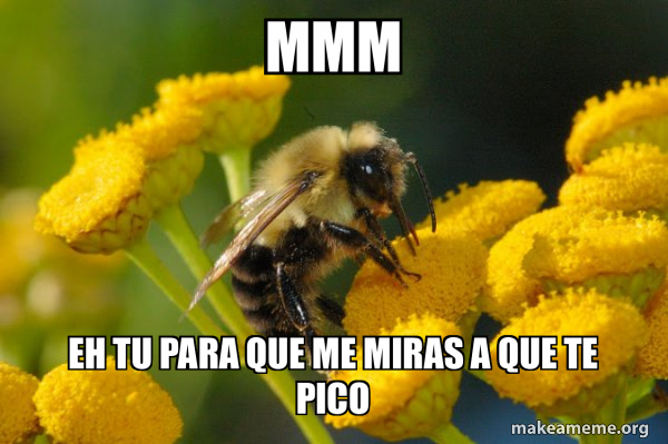 Good Guy Bee meme