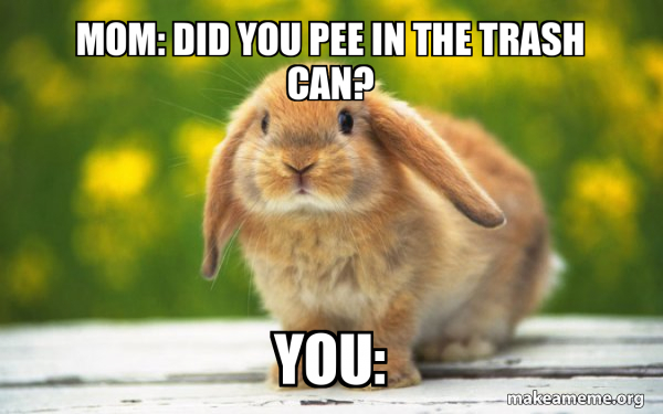 Regretful Rabbit meme