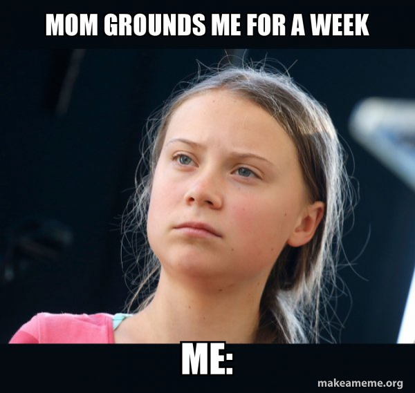 Greta Thunberg meme