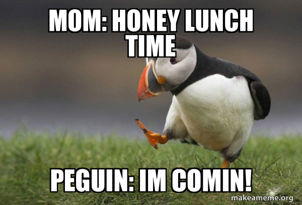 Unpopular Opinion Puffin meme