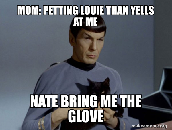 Spock and Cat Meme meme