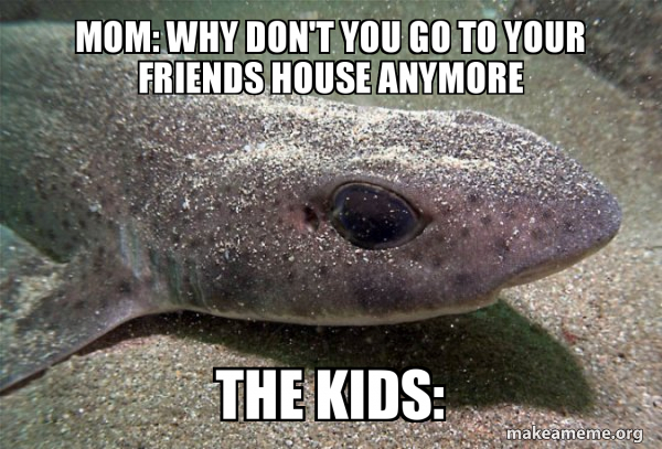 Dirty Joke Dogfish meme