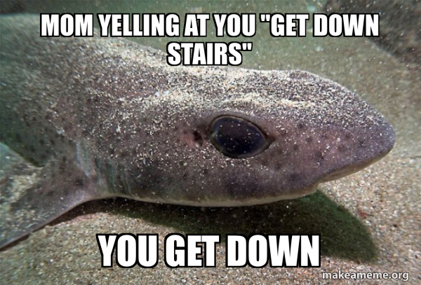 Dirty Joke Dogfish meme