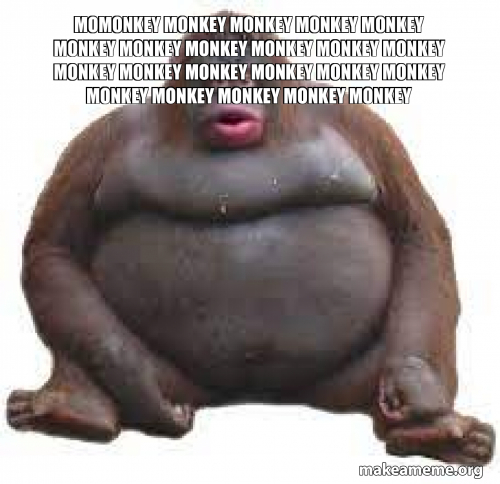MoMonkey monkey monkey monkey monkey monkey monkey monkey monkey monkey ...