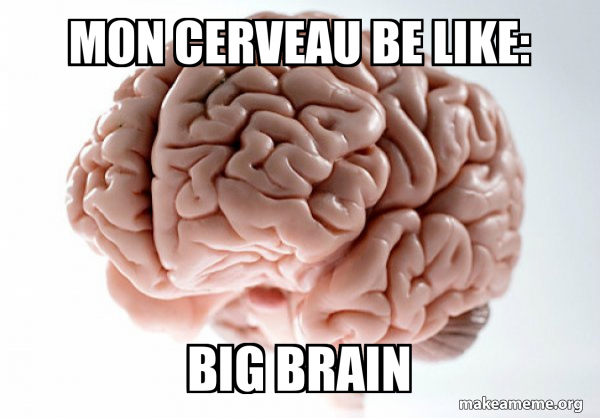 Scumbag Brain meme