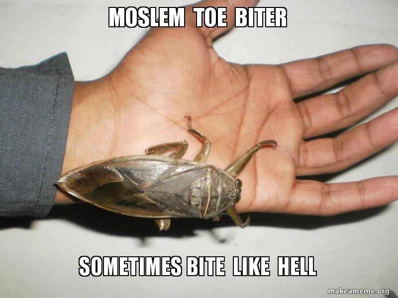 moslem toe biter sometimes bite like hell Human Me Toe Biter Moslem