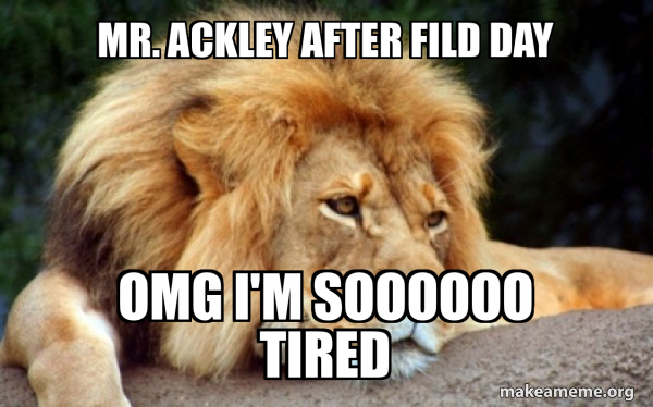 Confession Lion meme