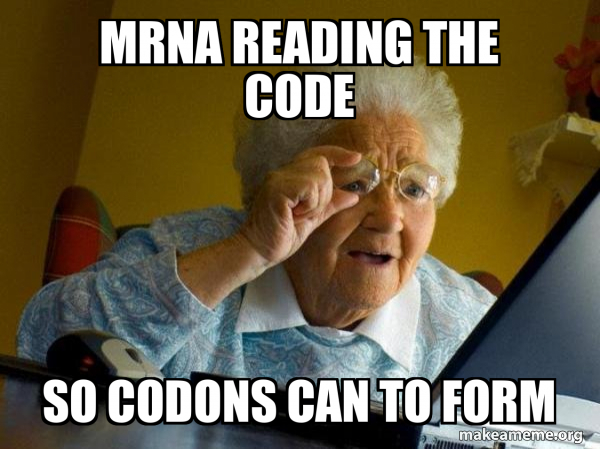mRNA reading the code so codons can to form - Internet Grandma Meme ...