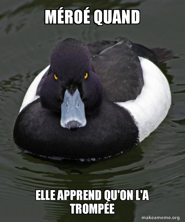 Revenge Duck ( Angry Advice Duck ) meme