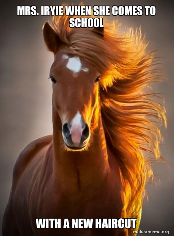 Ridiculously photogenic horse meme