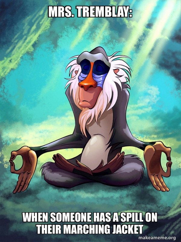 Rafiki Meditating - Lion King meme