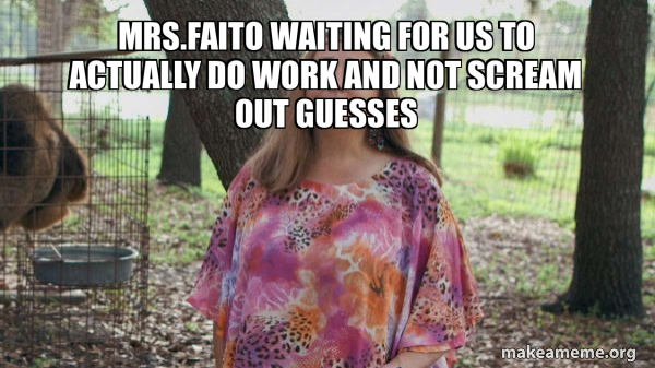 Carole Baskins (Carol ?) meme