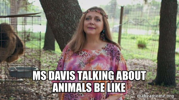 Carole Baskins (Carol ?) meme