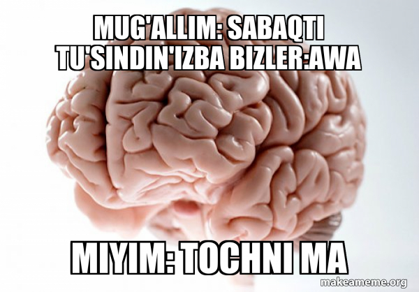 Scumbag Brain meme