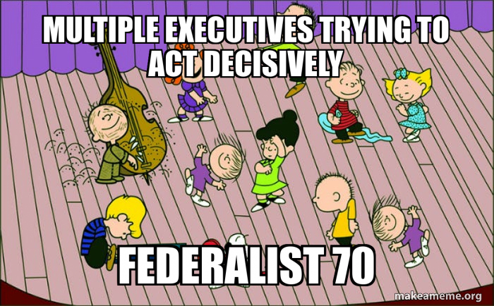Multiple Executives Trying tO ACT Decisively Federalist 70 Meme Generator