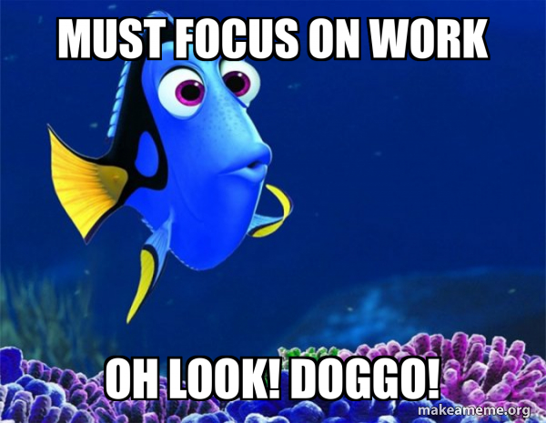 Dory from Nemo (5 second memory) meme