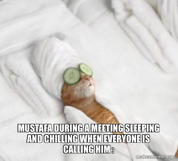 Pampered Cat Meme meme