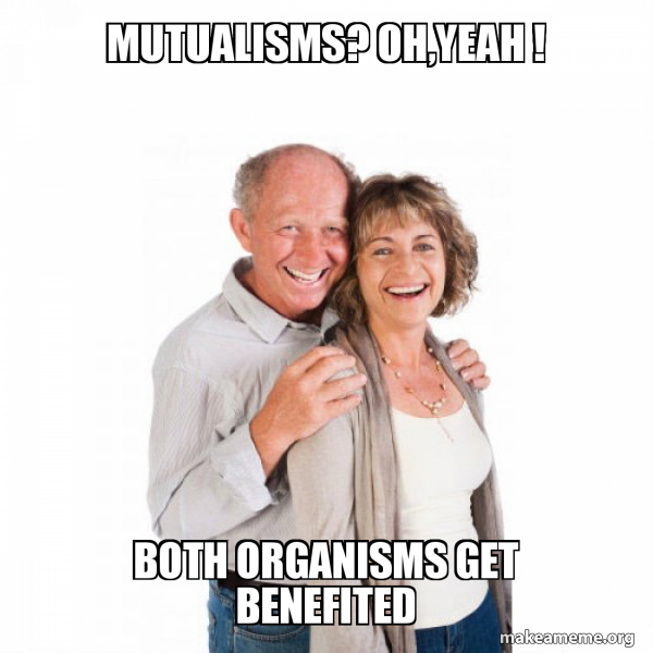 Baby Boomers meme