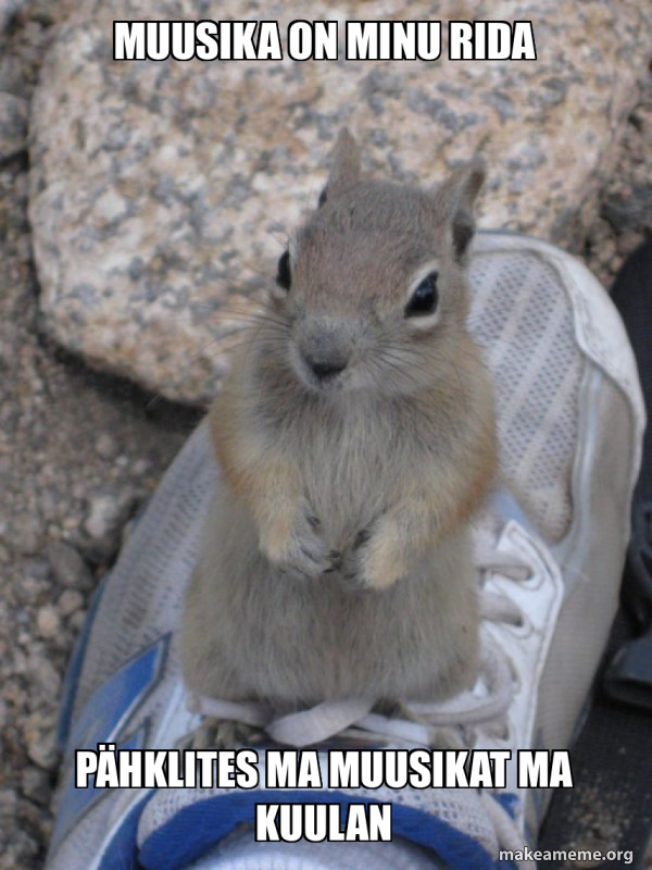 Standover Squirrel meme