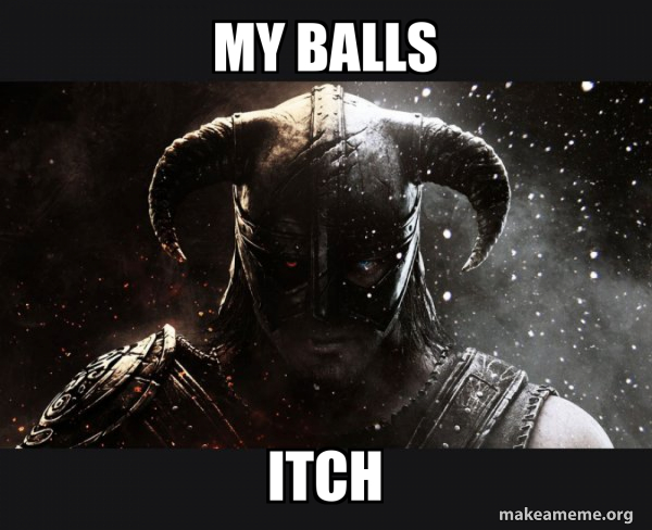 Skyrim meme