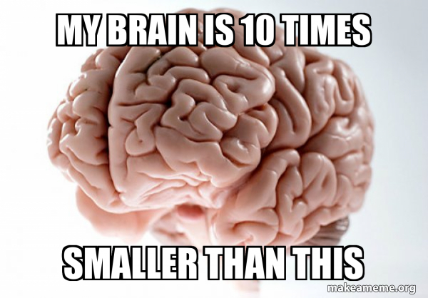 Scumbag Brain meme