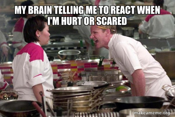 Gordon Ramsay meme