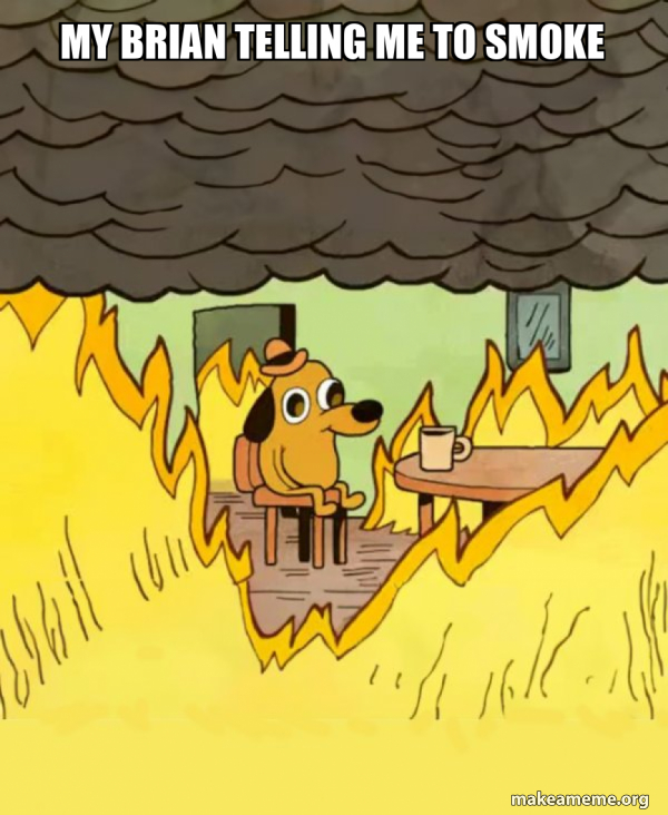 My Brian telling me to smoke - This Is Fine Meme Generator