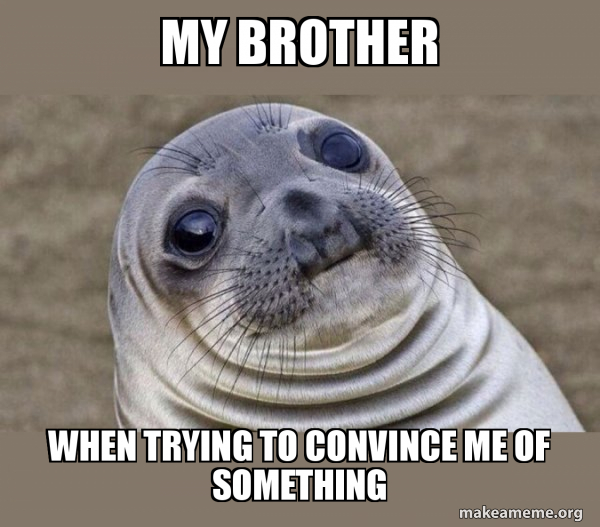 Squeamish Seal meme