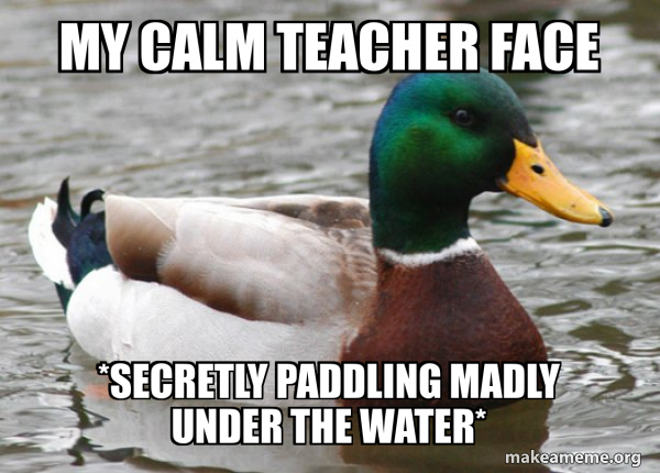 Actual Advice Mallard meme