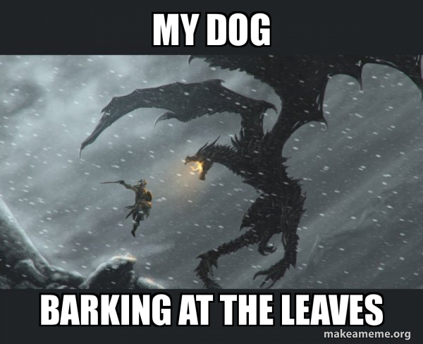 Skyrim Dragon Slaying meme