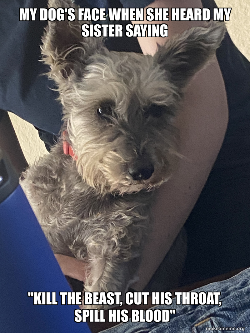my dog's face when she heard my sister saying "Kill the beast, cut his