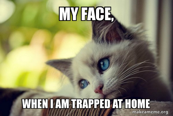 my face, when i am trapped at home - First World Cat Problems Meme Generator